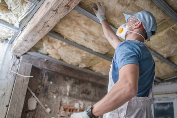 Best Insulation Repair Services  in Fremont, NE