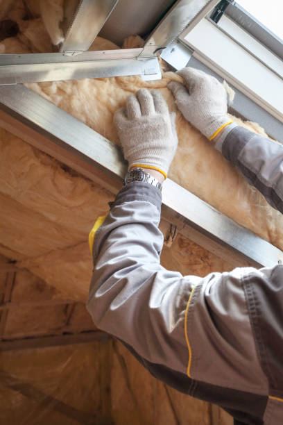 Best Insulation Inspection Services  in Fremont, NE