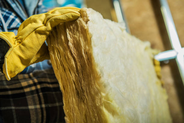Insulation Replacement Services in Fremont, NE