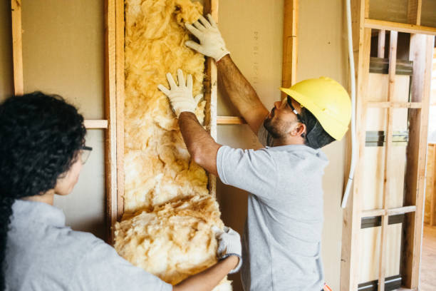  Fremont, NE Insulation Contractor Pros