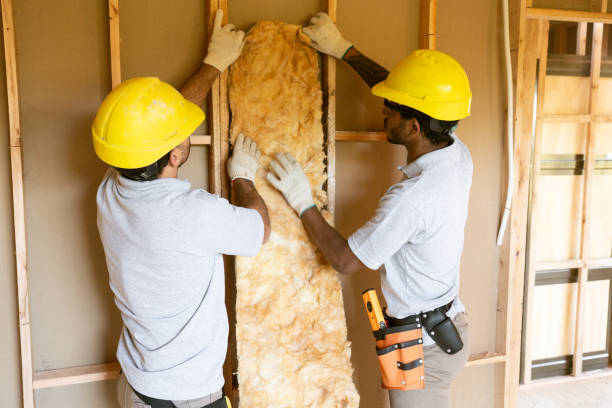 Best Insulation Replacement Services  in Fremont, NE