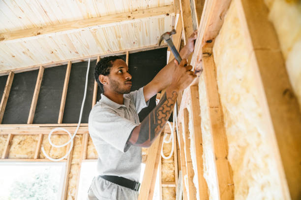 Best Insulation Contractor Near Me  in Fremont, NE