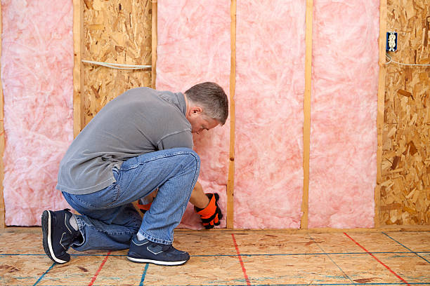 Best Fiberglass Insulation  in Fremont, NE