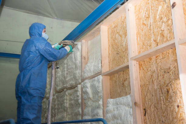 Trusted Fremont, NE Insulation Contractor Experts