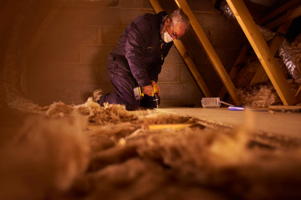 Best Wall Insulation Contractor  in Fremont, NE